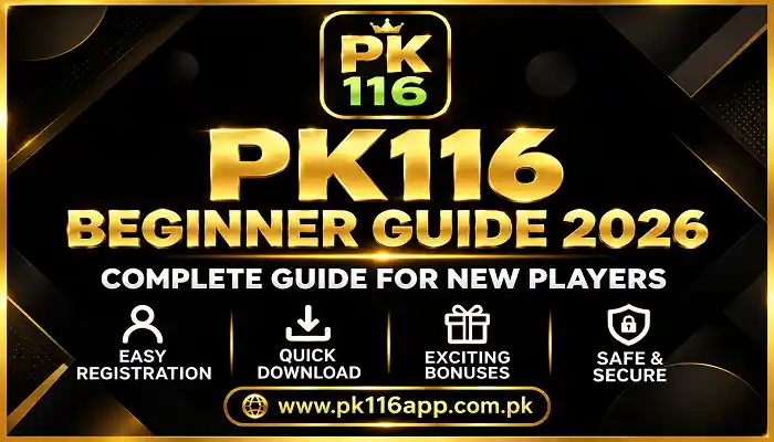 Beginner Guide